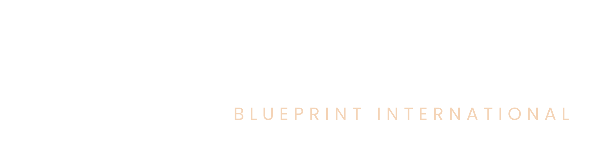 Warrior Blueprint International